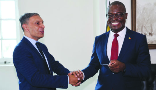 President Mnangagwa Appoints Elesh Patel as Special Presidential Investment Adviser